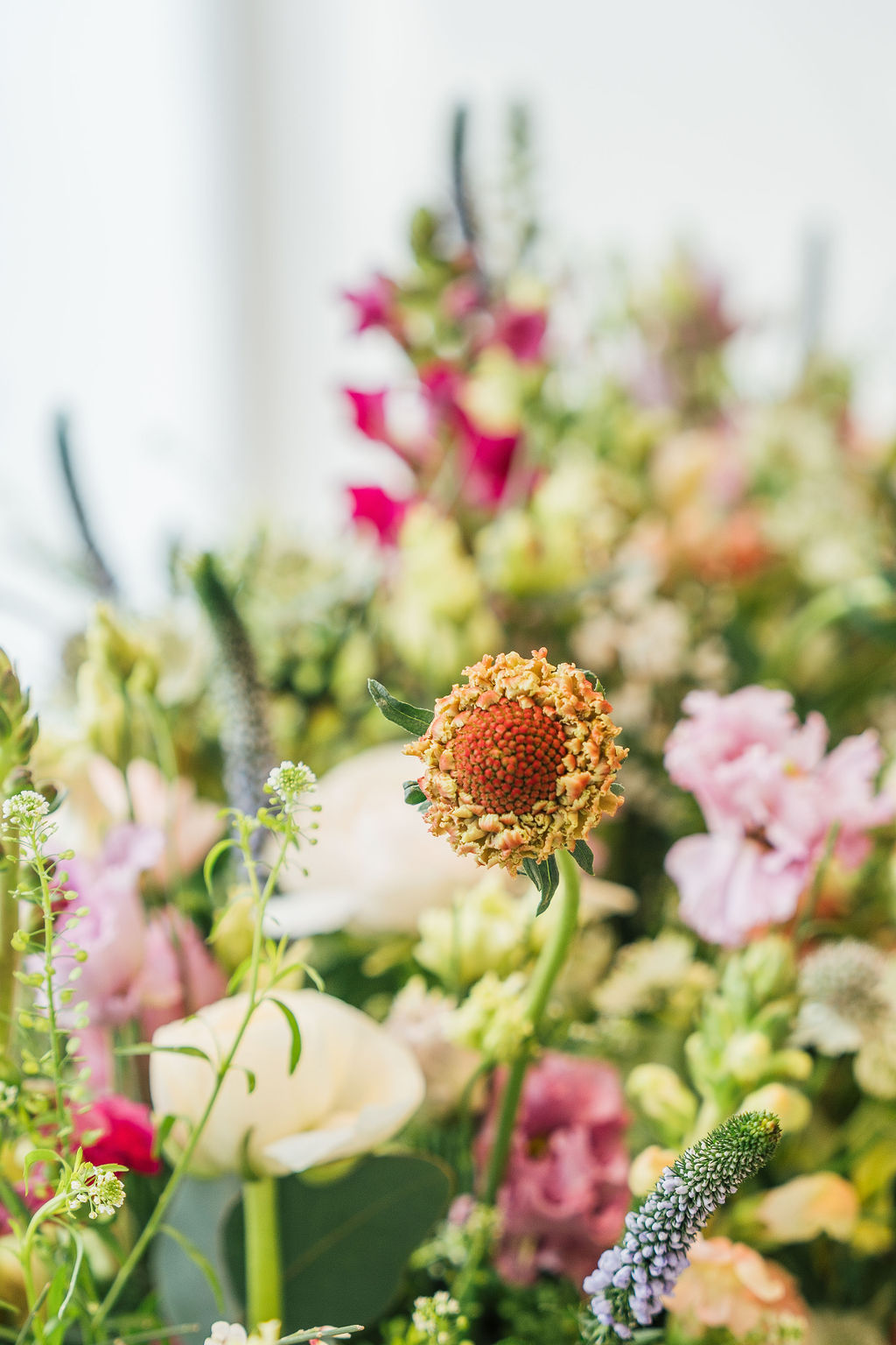 Fleurs fraîches et séchées